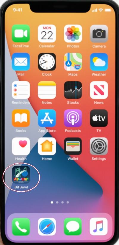 how iPhone looks with BitBowl icon added